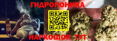 сатива Балаково