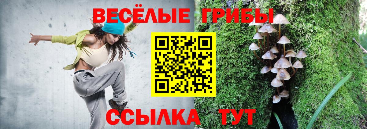 Ейск  Галлюциногенные грибы Cubensis  Вход с VPN 