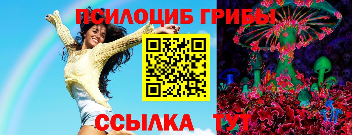 Галлюциногенные грибы прущие грибы Ейск